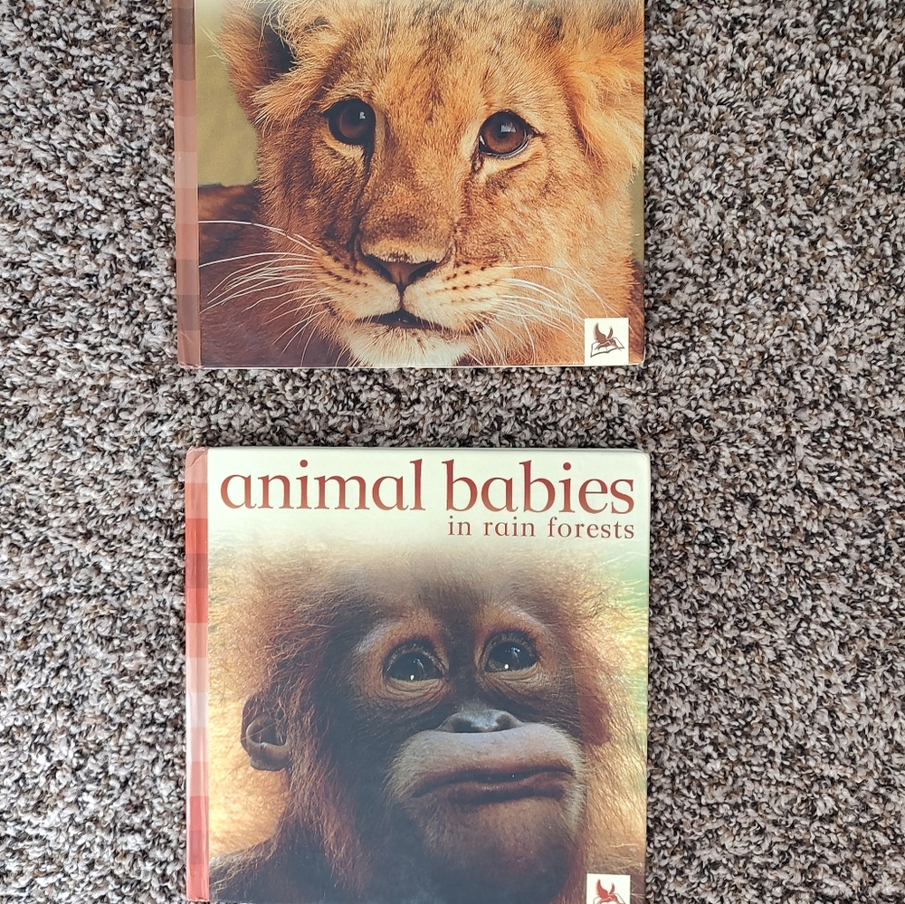 animal babies Books